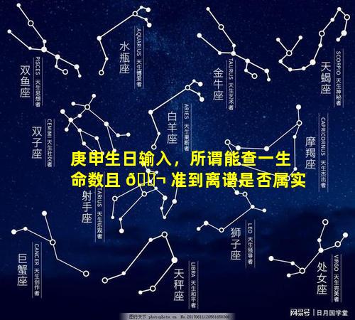 庚申生日输入，所谓能查一生命数且 🐬 准到离谱是否属实